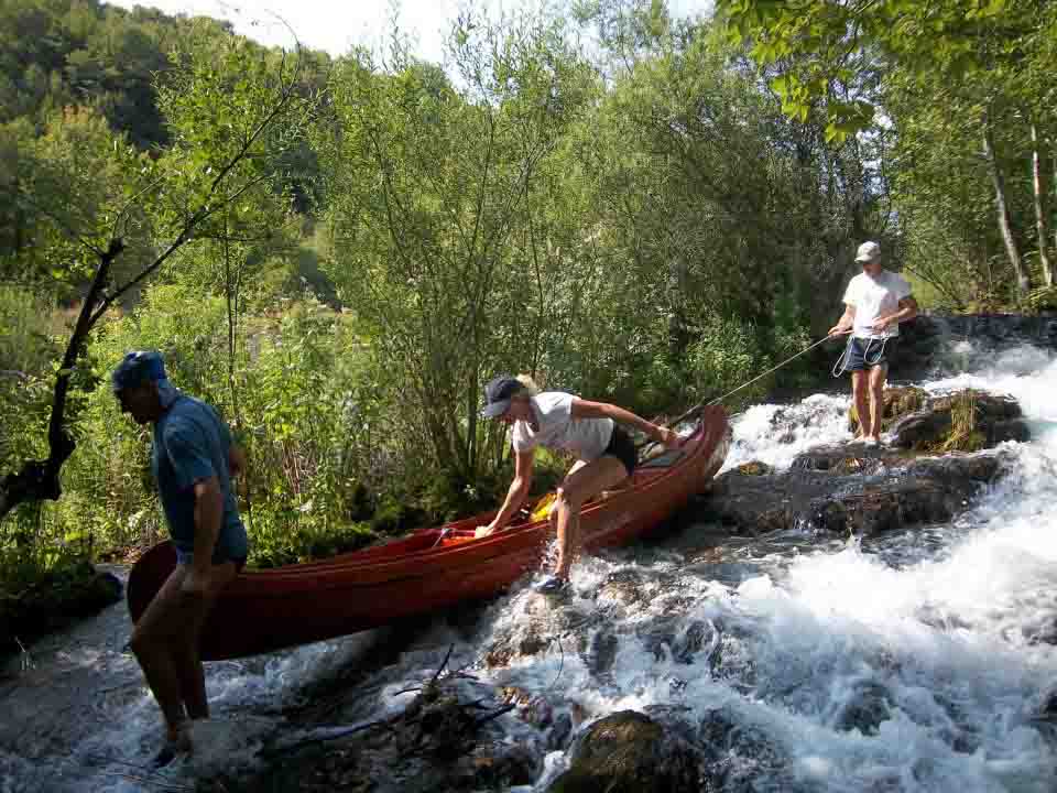 mreznica-zrinka mirkovic 1