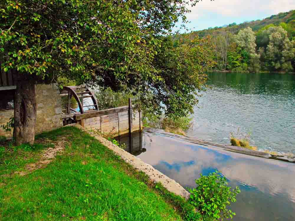 mreznica-zrinka mirkovic 3