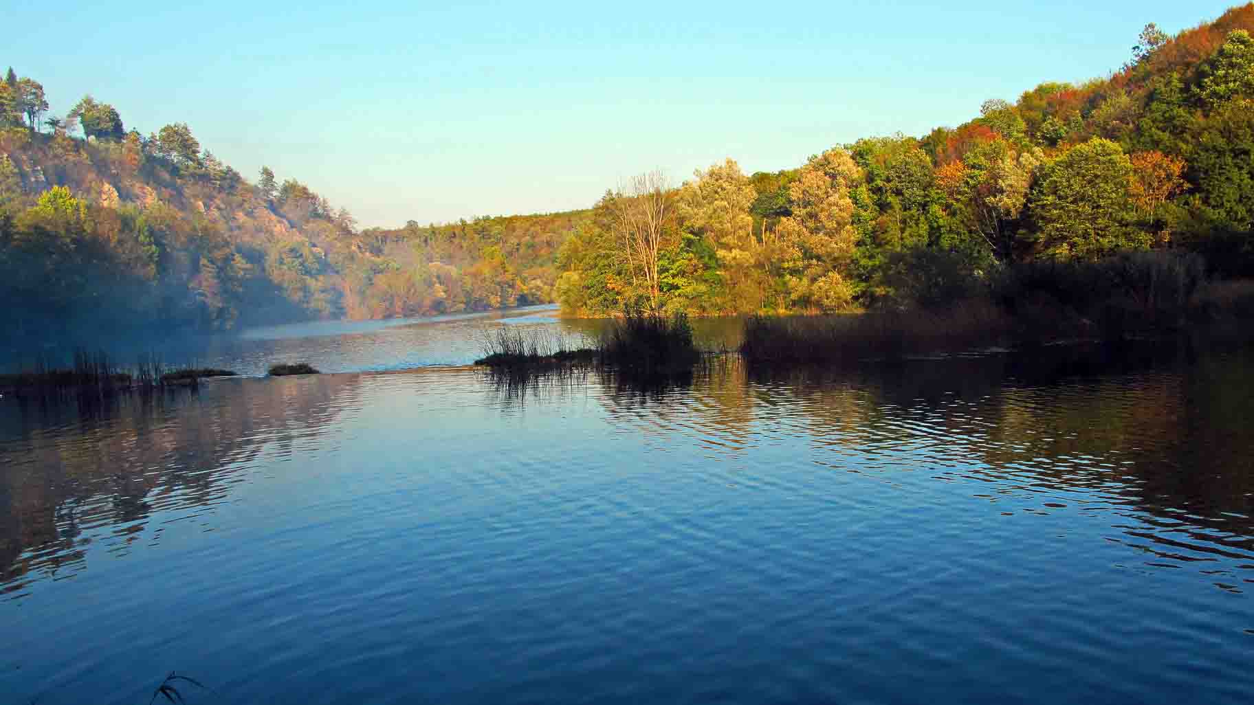 mreznica-zrinka mirkovic 4