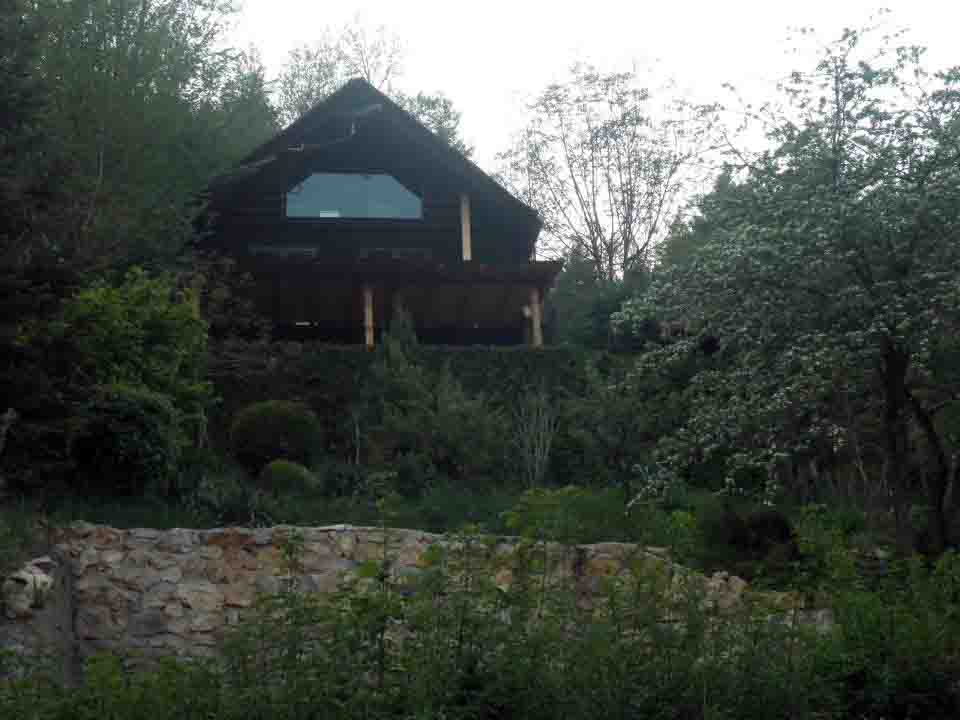 mreznica-zrinka mirkovic 7