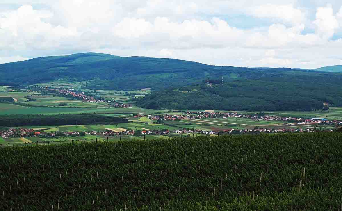 grozdovi i stihovi 3