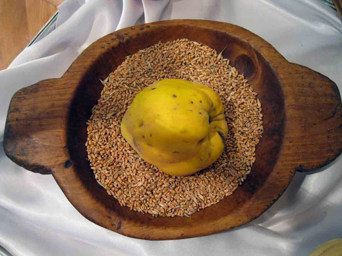 Dunja i zito u grovaci