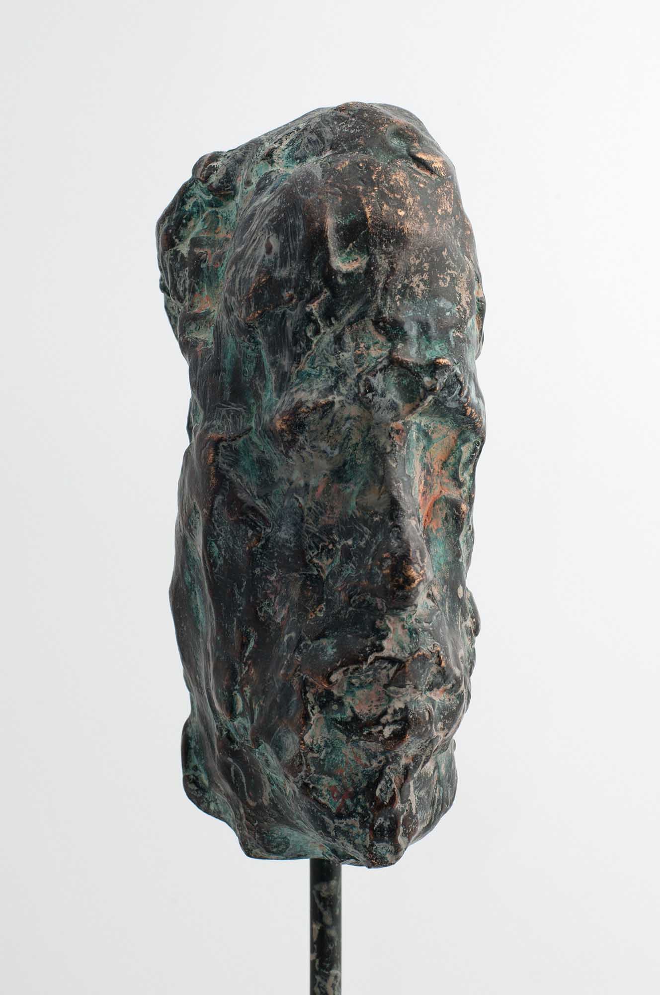 Autoportret - bronca - 2013