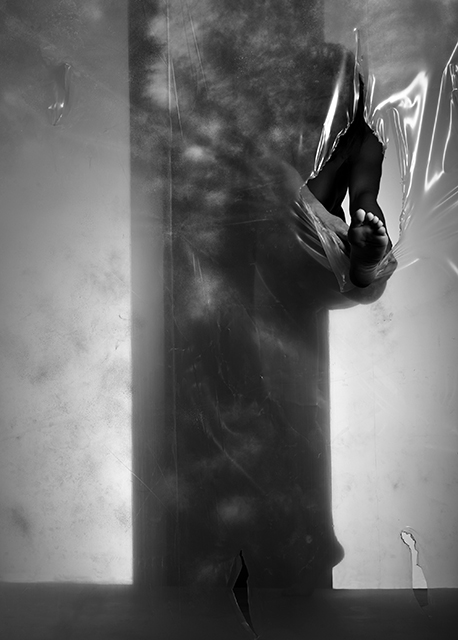 djani celija prorezi1 2