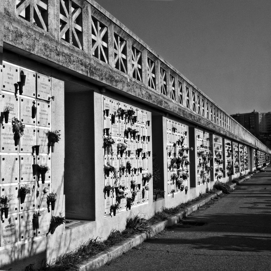 Dragojevic Sladjan 16