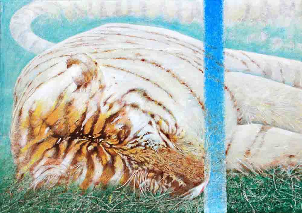 pavle hegedus-tigar 2