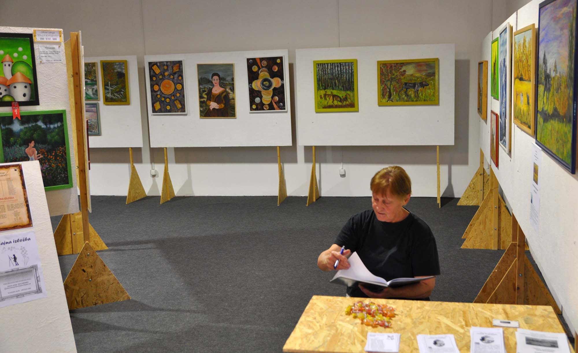 izlozba Biserka Keretić i LU Kula Kneginec Lumini 2014 41