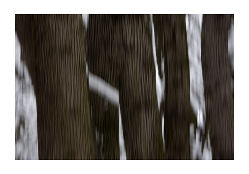 Slavica Subotic MacCormick 5