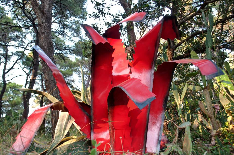 Dalibor-Stosic agave5