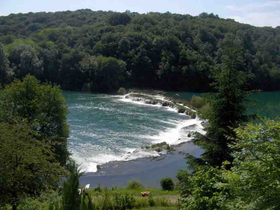 mreznica-zrinka mirkovic 6