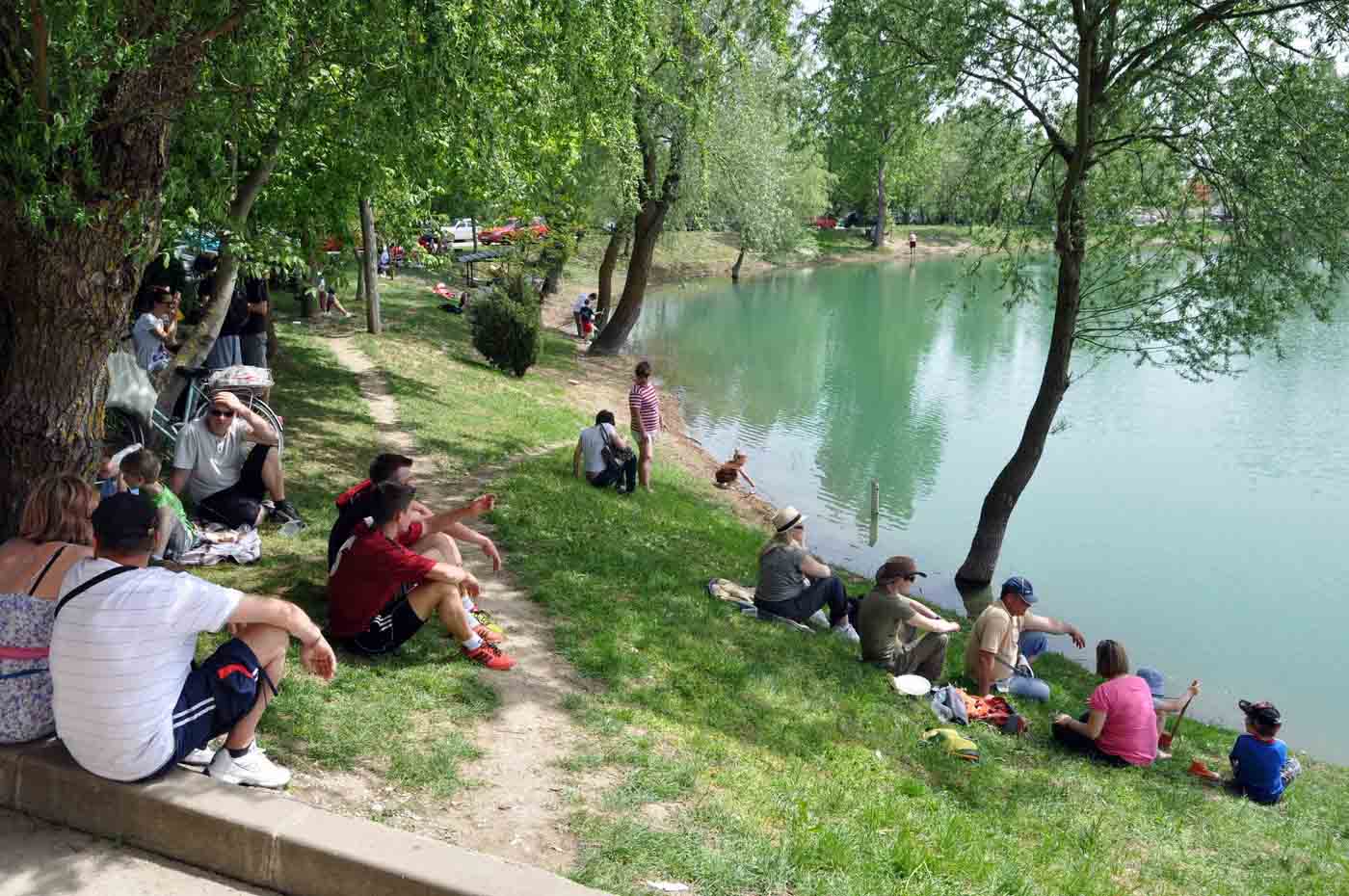 06-zapresic 01 svibanj-piknik-organizator-klub zaprescan-i-gradonacelnik zeljko turk 80