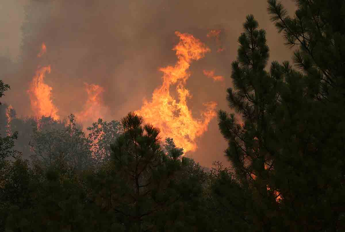 california yosemite fire getty