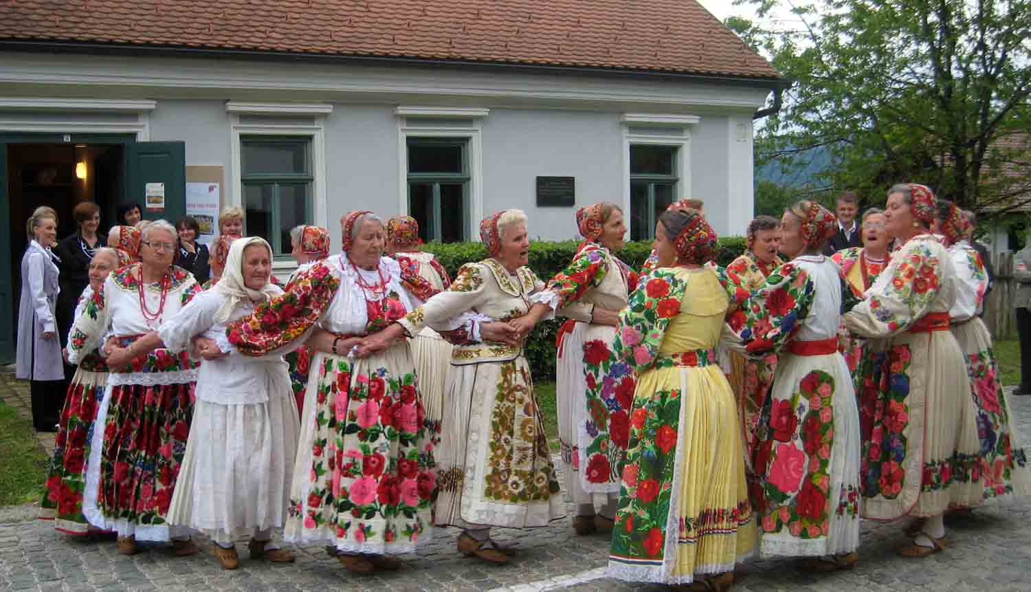 Oj rumena ružo moja 3