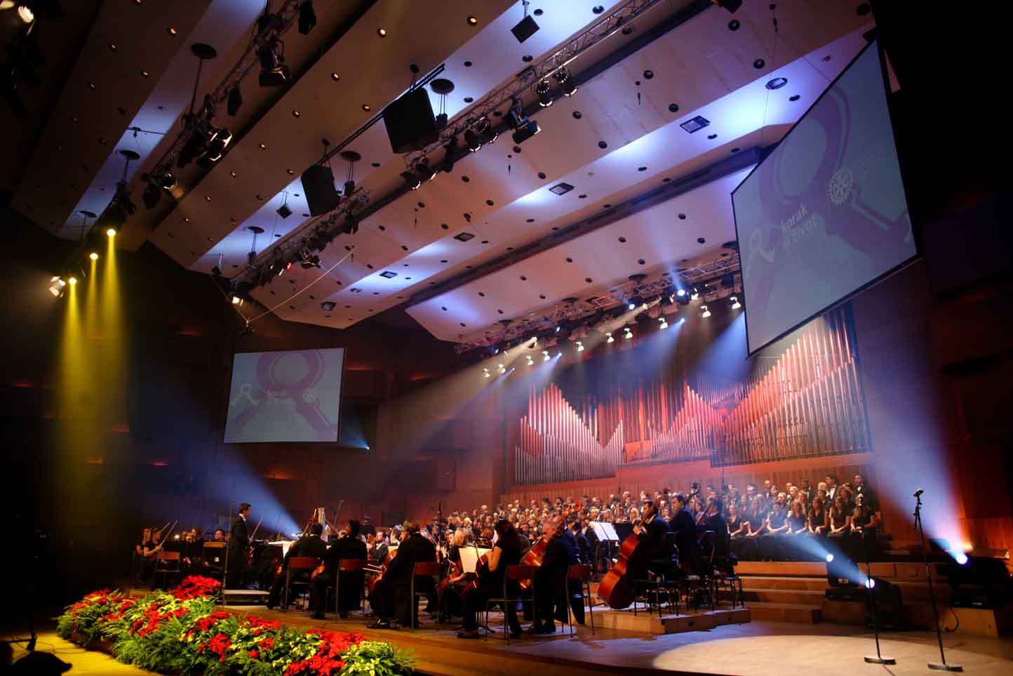 Korak Lisinski 281114-13