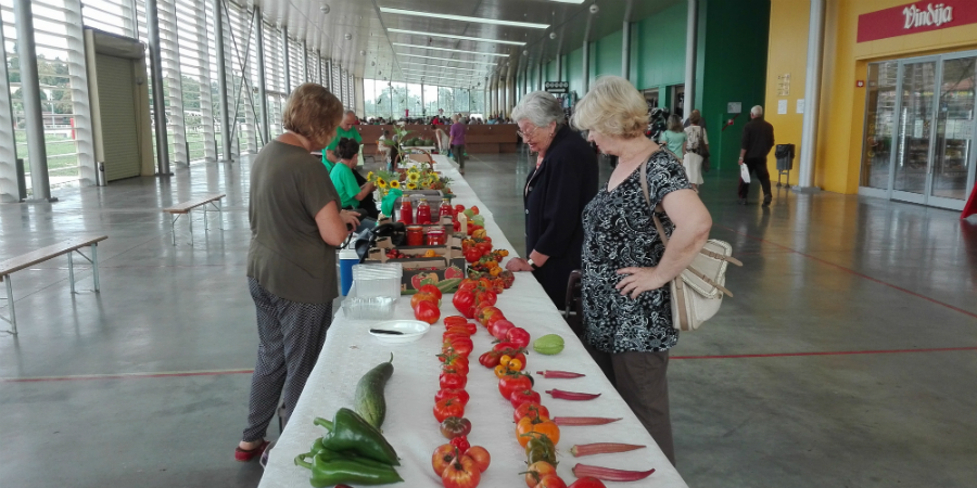 Danu rajčica u Vukovaru