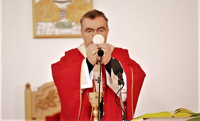 Kardinal Bozanić predvodio euahristijsko slavlje Cvjetnice - zg-nadbiskupija.hr