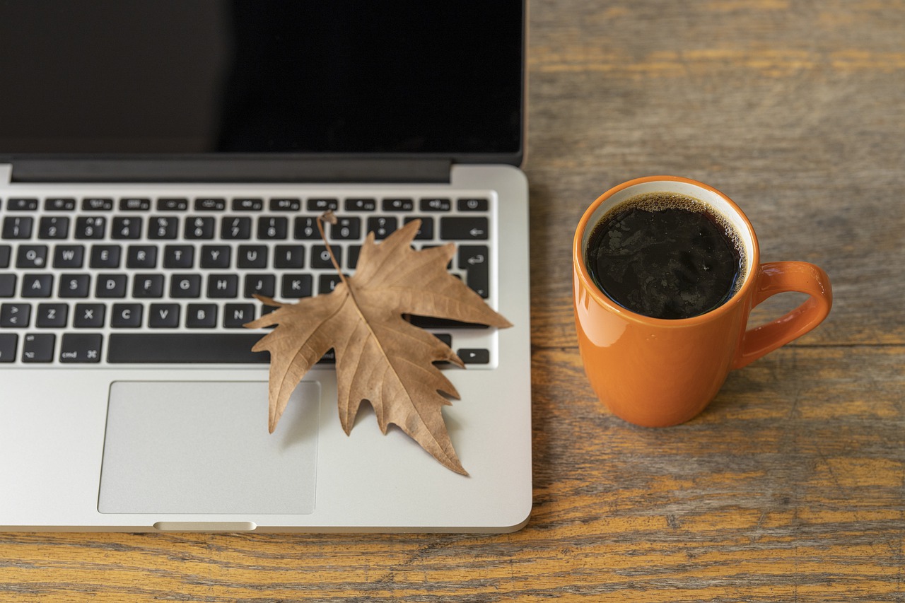 laptop, work, the work