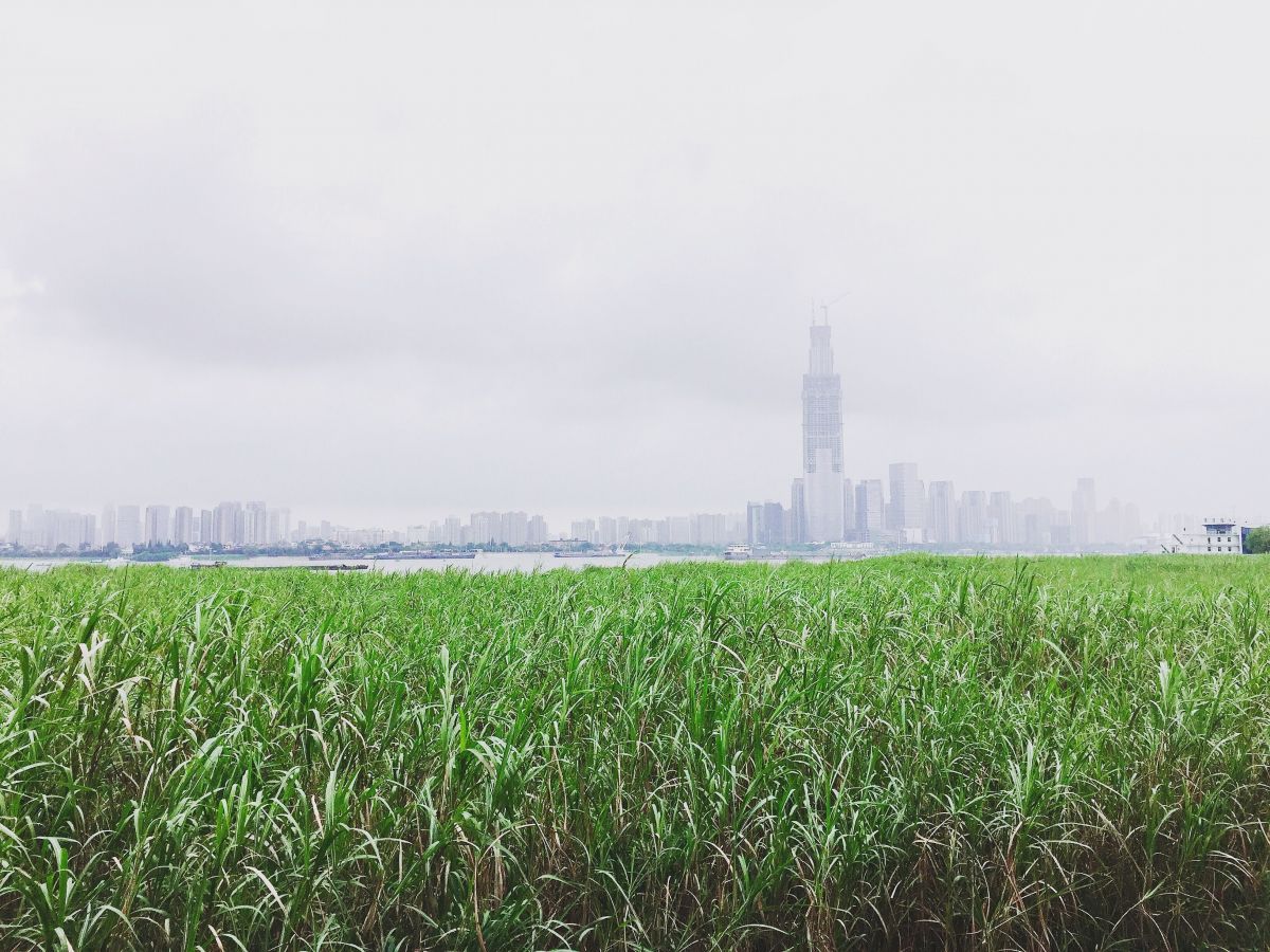 wuhan, riverside, the yangtze river