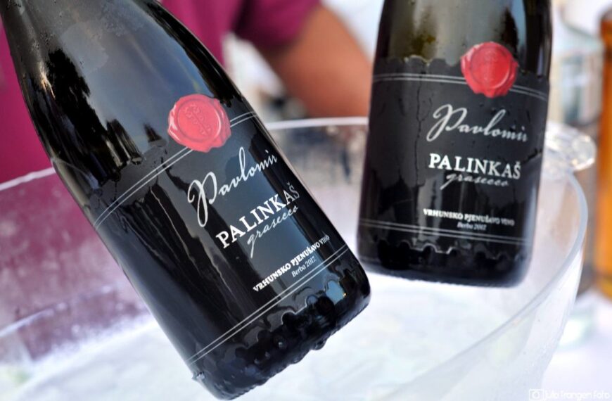 Mjehurići idu u svijet