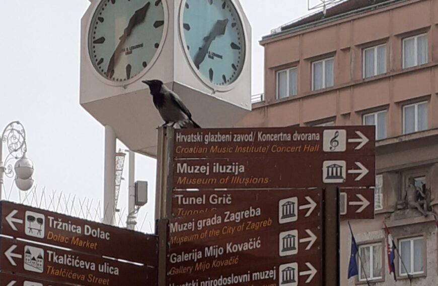 A gdje je tu zaštita dostojanstva?