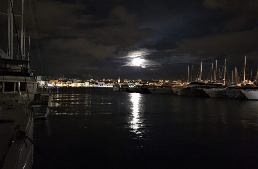 Moralno-etički problemi korona krize o kojima se ne govori