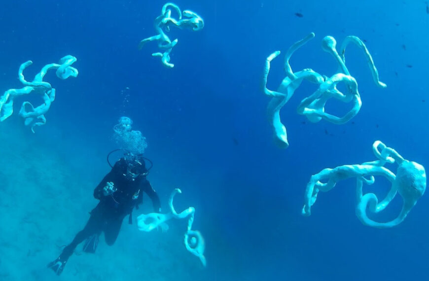 Nova energija suvremene hrvatske likovne umjetnosti – Petar Popijač