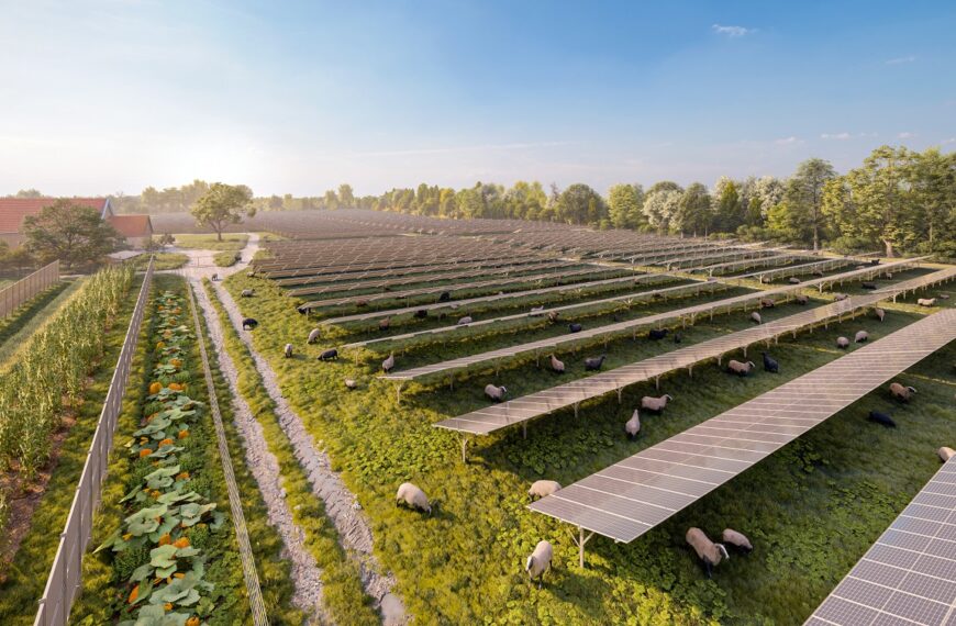 Beč obara rekorde u izgradnji solarnih postrojenja