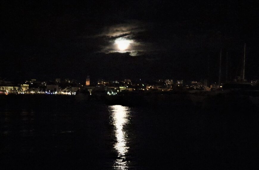 Žena preminula nakon cijepljenja od zatajenja srca kao i volonter koji je pao s krova