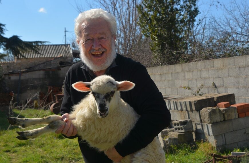 VRTNI PATULJAK (4/9)