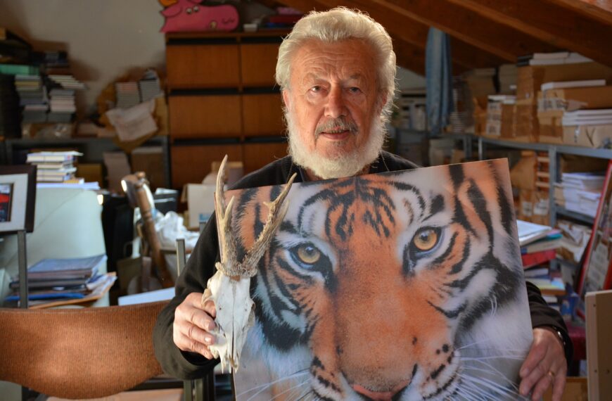 VRTNI PATULJAK (1/9)