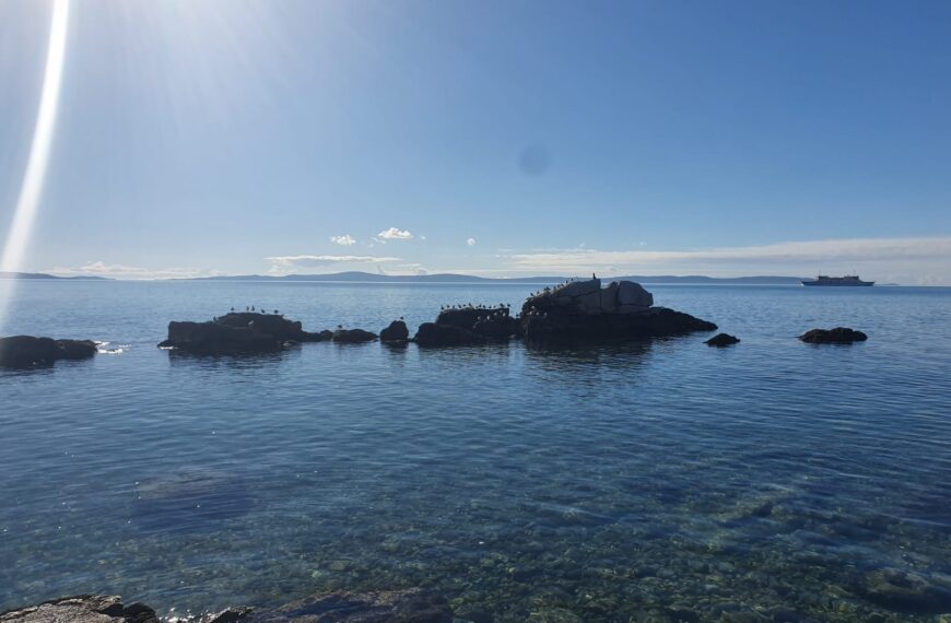 Papa Franjo: Mediji trebaju pomoći ljudima razlikovati dobro i zlo