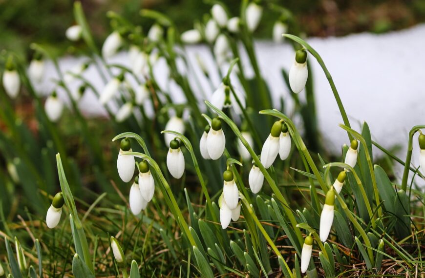 Dan kao i svaki drugi