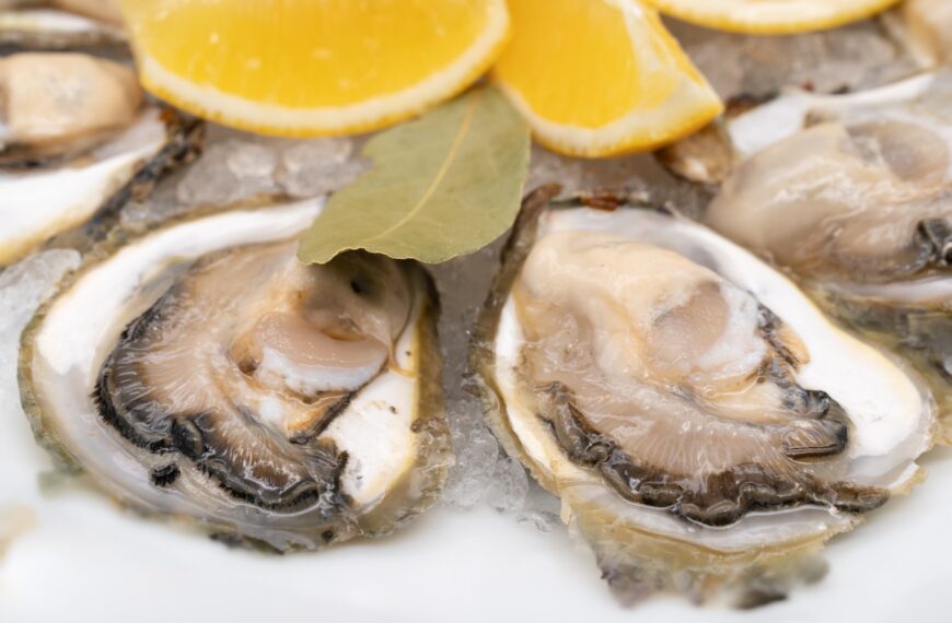 POČINJU DANI KAMENICA