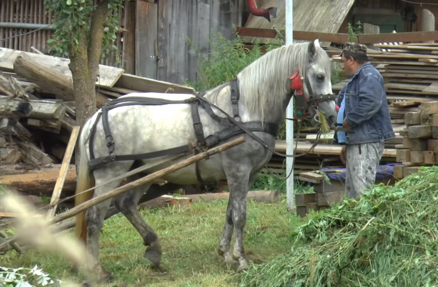 Seoski život u Transilvaniji u Rumunjskoj
