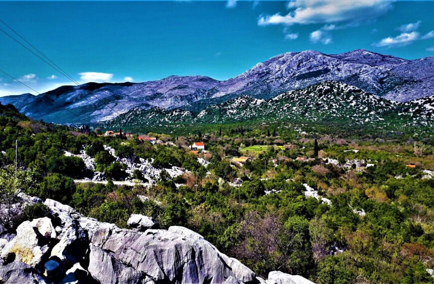 P. Pavlović: TRAVANJ