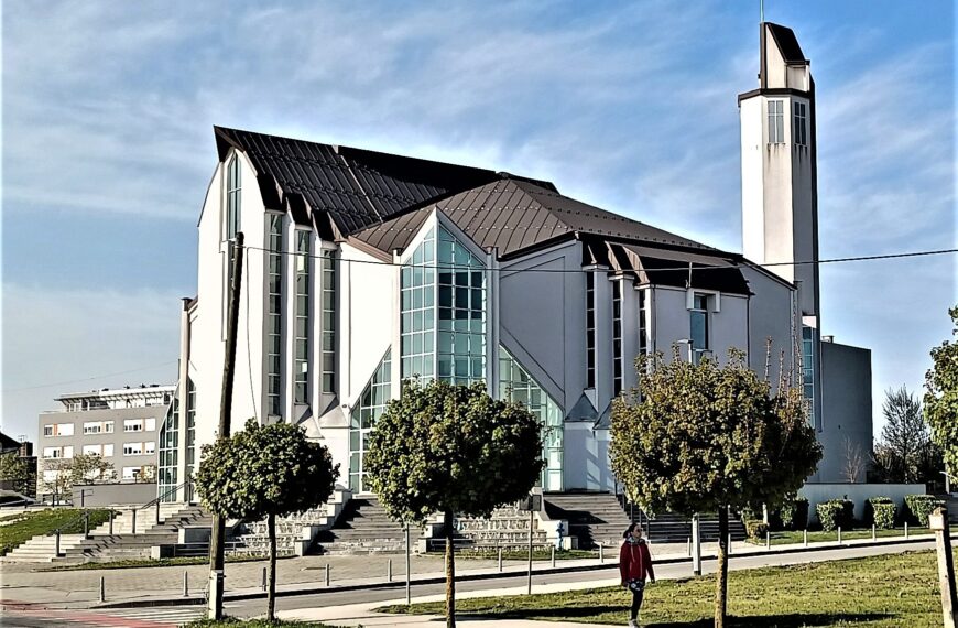 Dr. Burić: SLUČAJNOST ILI ŽELJA