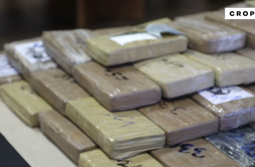 Zapljena kokaina na području Dubrovačko-neretvanske županije