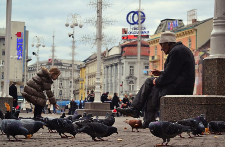 Golubovi – nije grad Zagreb ono što je nekad bio