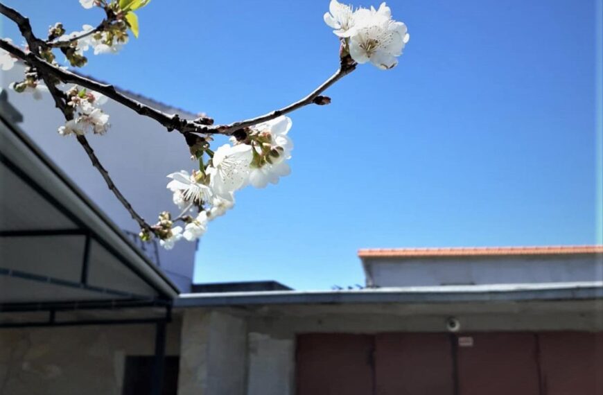 3. međunarodna konferencija za život, onliine od 21. do 23. svibnja