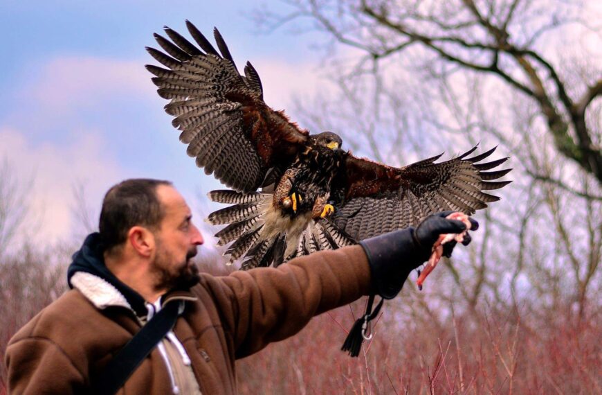 Trodioba Vitolda Košira