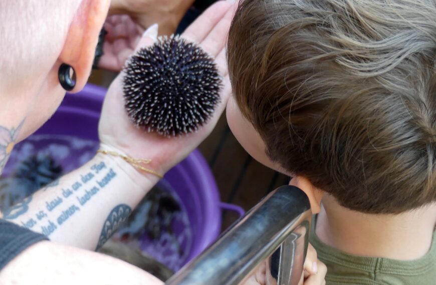 Turizam zbraja pluseve u dolascima, a radnika fali!