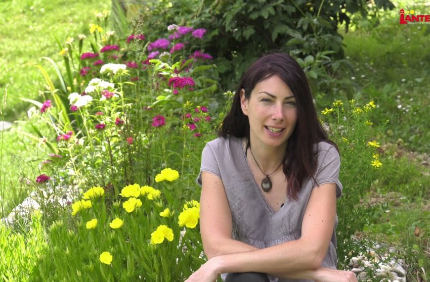 MUDROST BILJAKA – MEDONOSNE BILJKE