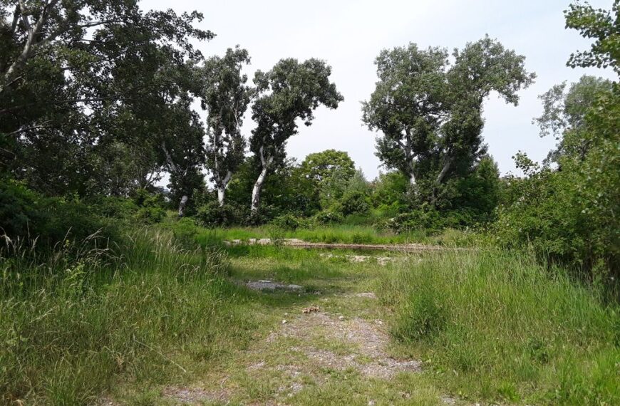 Beč dobiva novi park, najveći u posljednjih 40 godina