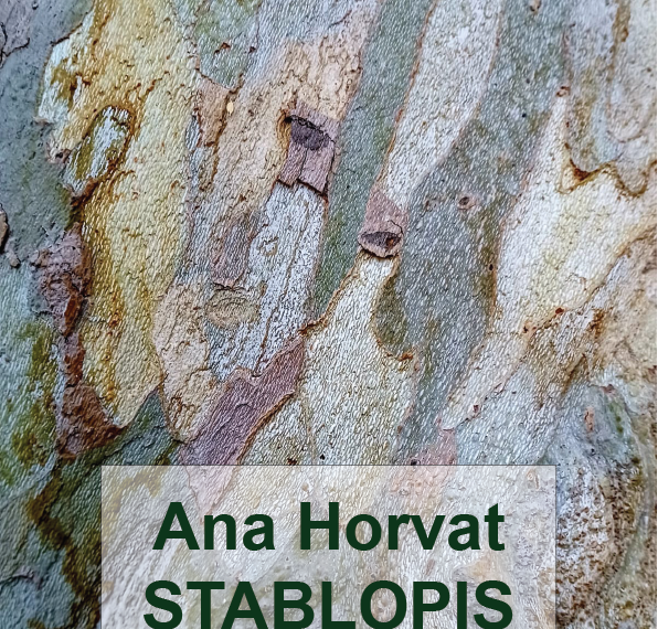 Ana Horvat – nove tematske, digitalne knjige poezije