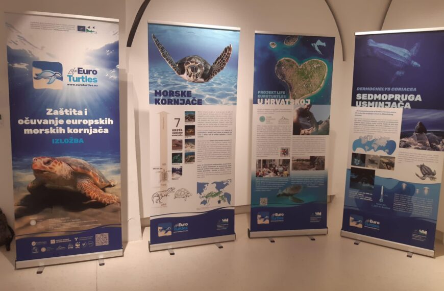 Izložba u Kneževoj palači “ZAŠTITA I OČUVANJE EUROPSKIH MORSKIH KORNJAČA”
