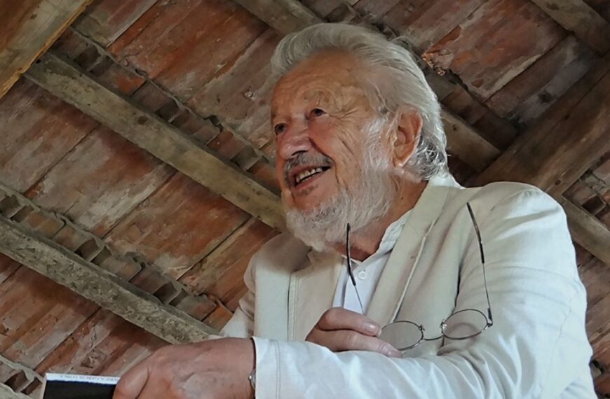 DON QUIJOTE NA PETOJ AVENIJI – 24. BILOSNIĆEVA PREVEDENA KNJIGA