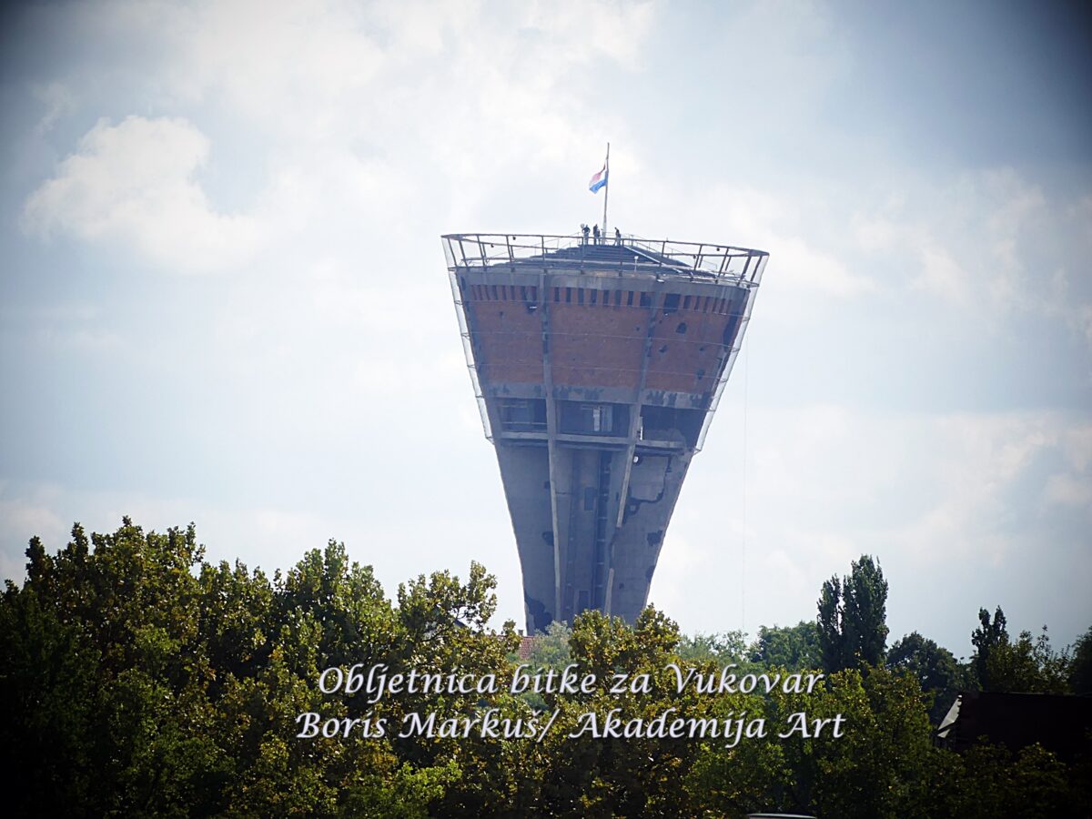 Obljetnica bitke za Vukovar (11)