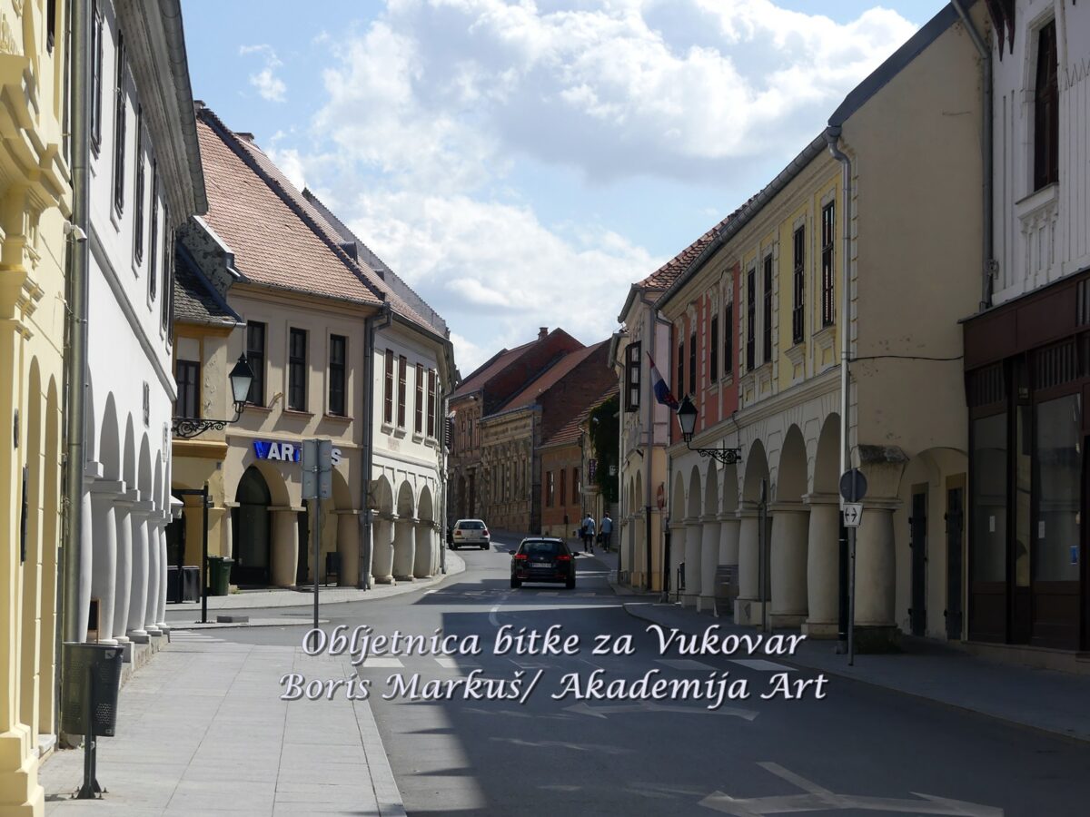 Obljetnica bitke za Vukovar (38)