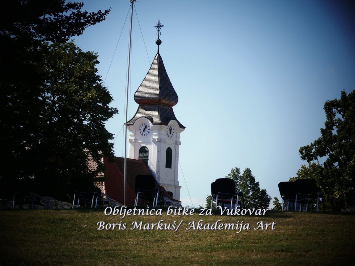 Obljetnica bitke za Vukovar (50)