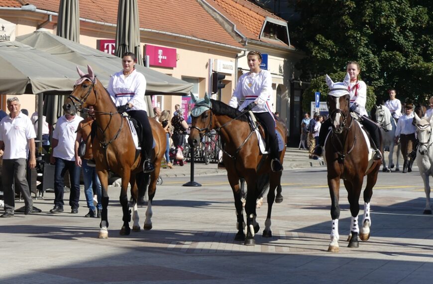 Galerija proslave pola stoljeća Dječjih vinkovačkih jeseni